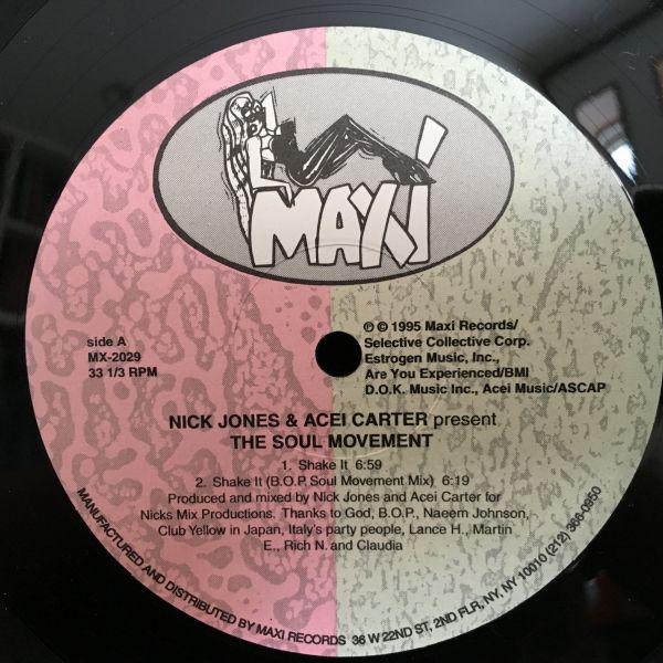 Nick Jones Present The Soul Movement / Shake It拍卖