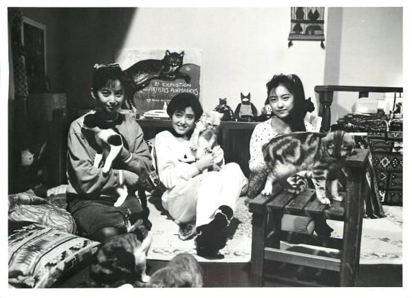 p17265荻野目洋子五十嵐いづみ『公園通りの猫たち』スチル拍卖