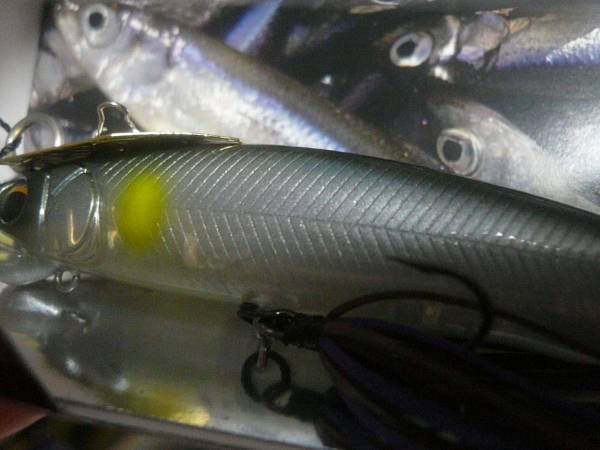 イマカツ アライブチャターSS(イマカツアユ) 新品拍卖