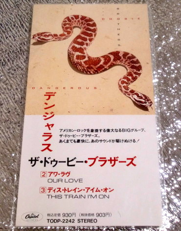 8cmCD DOOBIE BROTHERS/ドゥービーブラザーズ/デンジャラス拍卖