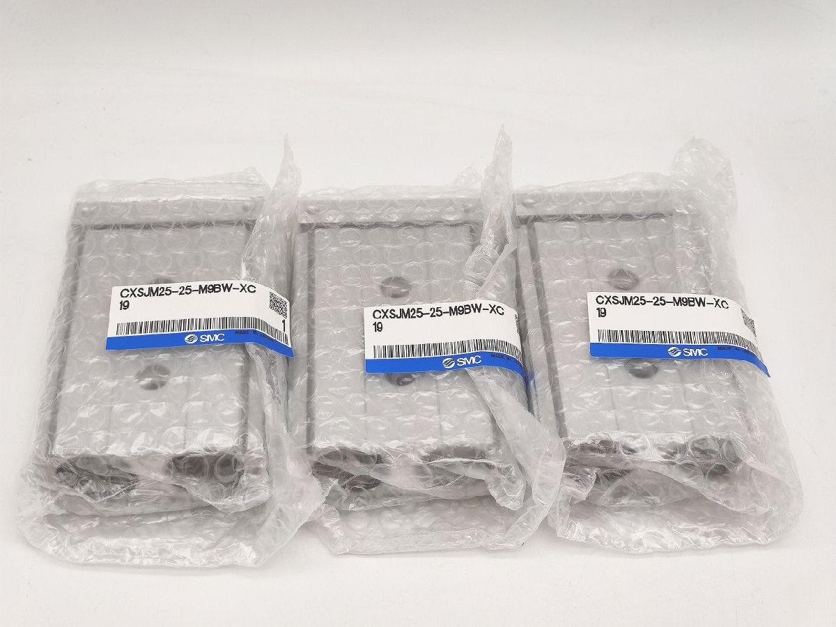 3点セット 新品 SMC CXSJM25-25-M9BW-XC19