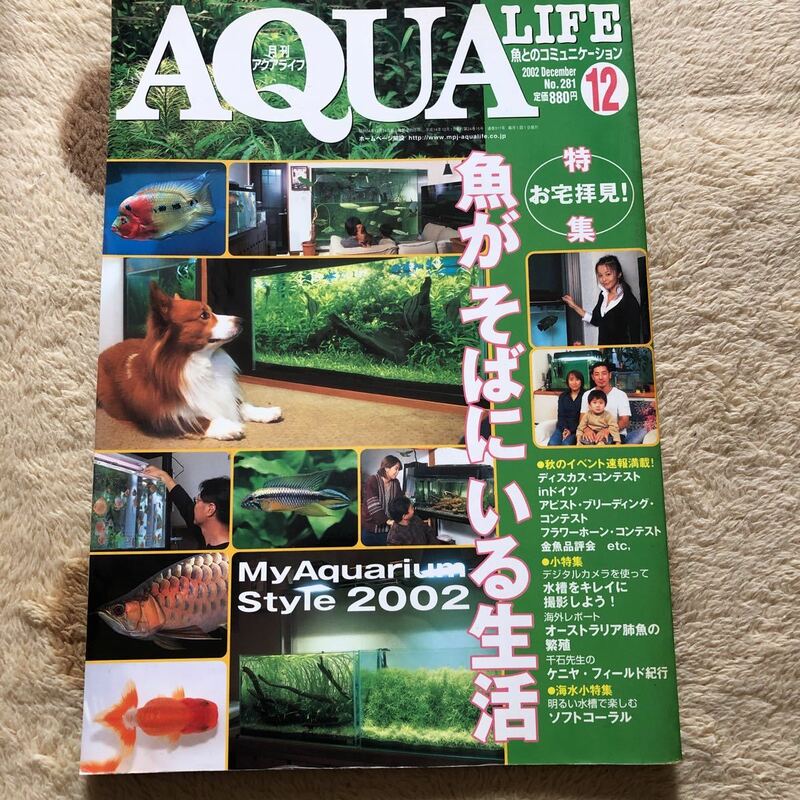 古本/AQUA LIFE/281 魚がそばにいる生活