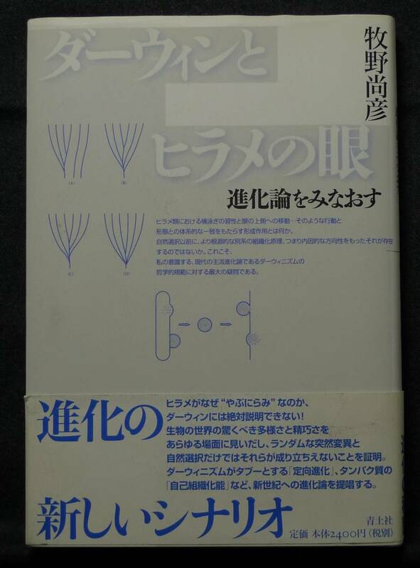 【超希少】【初版】古本　ダーウィンとヒラメの眼　進化論をみなおす　著者：牧野尚彦　青土社