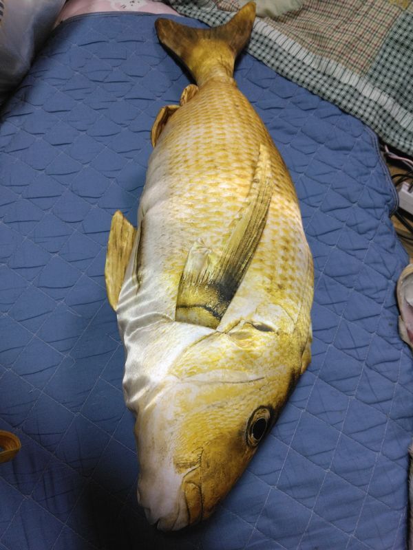 ぬいぐるみ　鯛　海鮮市場 魚