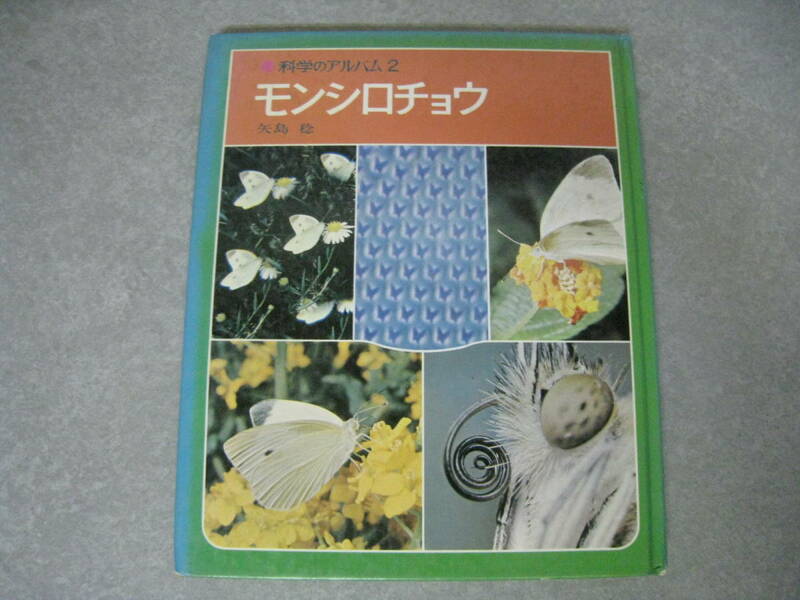 科学のアルバム２　モンシロチョウ　矢島稔　あかね書房　1977年