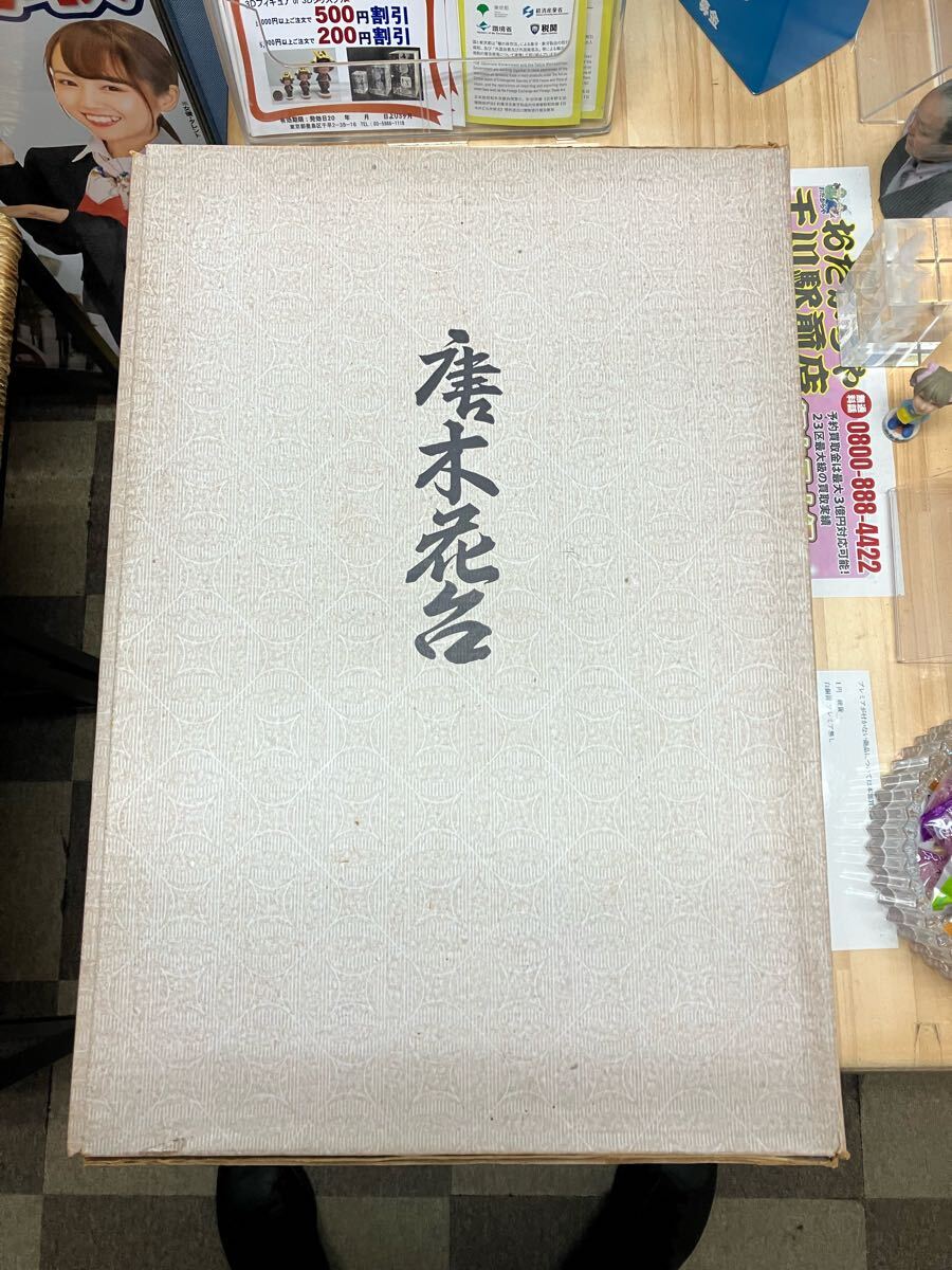 花代　唐木花代　100サイズ