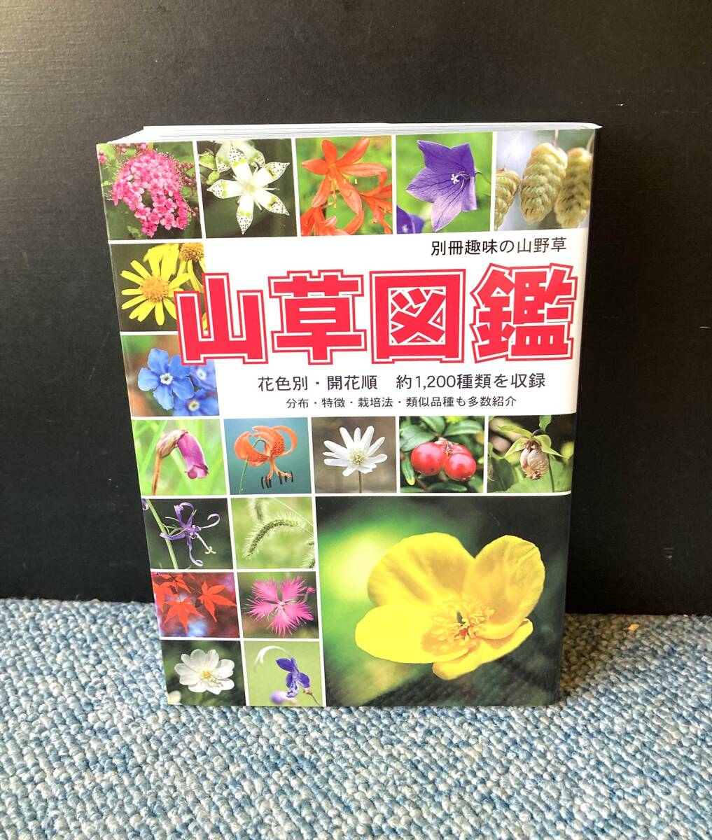 山草図鑑 別冊趣味の山野草 栃の葉書房 西本3003
