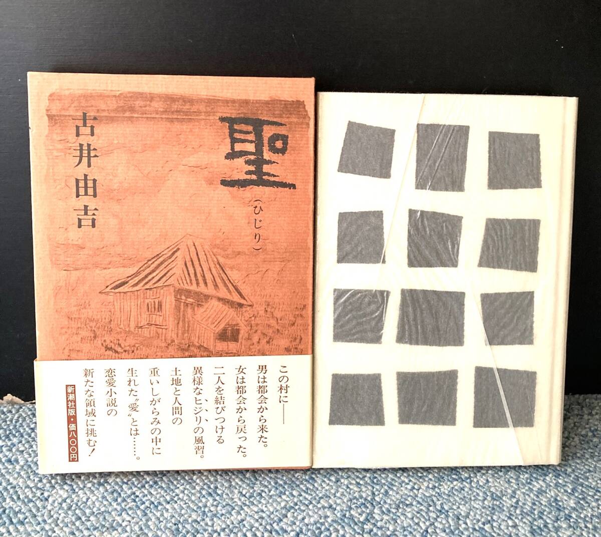 聖（ひじり）古井由吉/著 新潮社 帯付き 西本2927