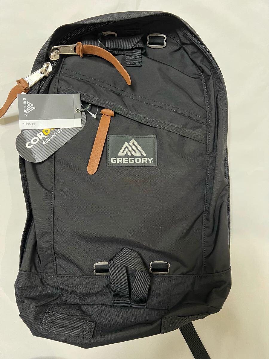 未使用　GREGORY グレゴリー　デイパック　JAPAN limited