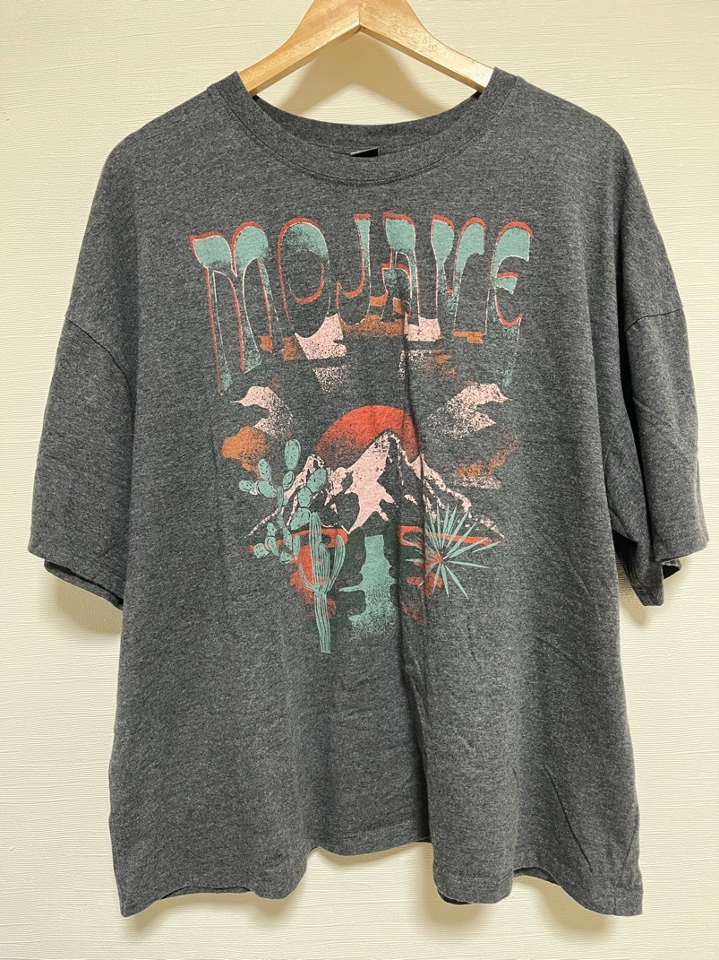wild fable Tシャツ M 古着 ワイルドフェイブル ワイルド・フェイブル mojave ビッグT