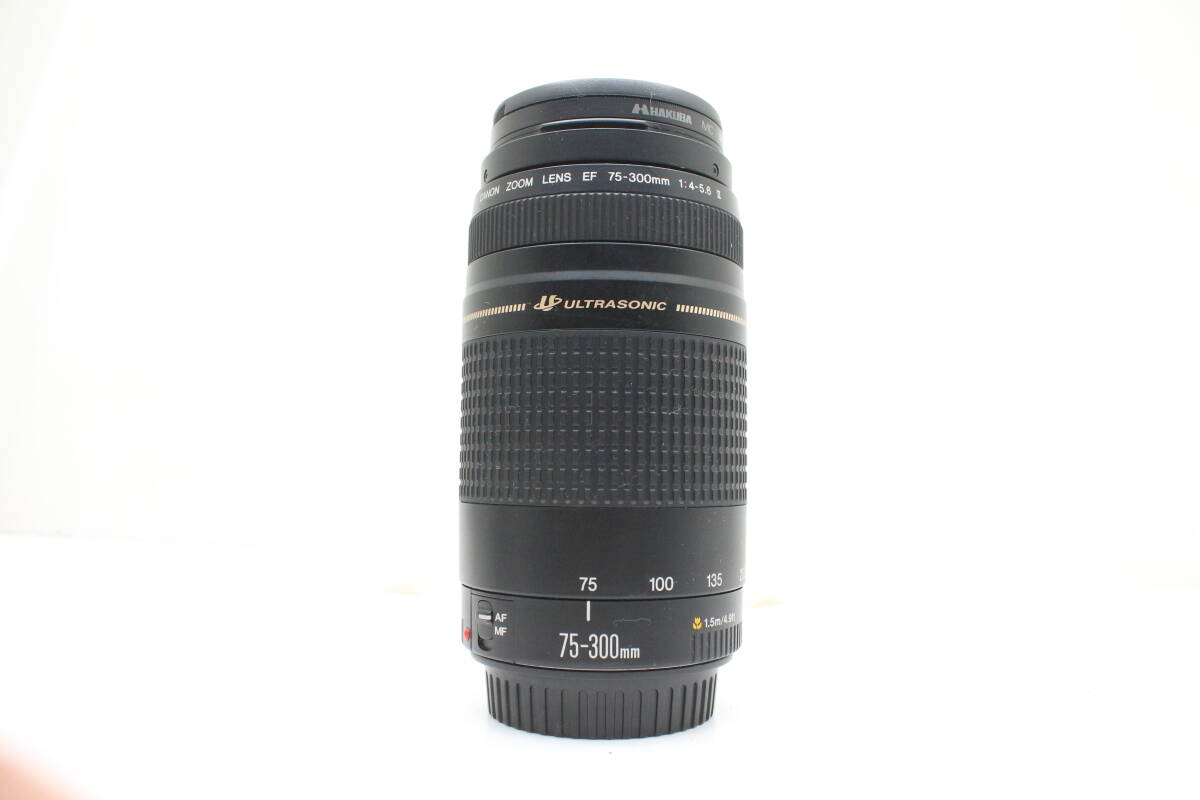 ★良品★CANON キヤノン EF 75-300mm F4-5.6 II キヤノン標準望遠レンズ OK7449