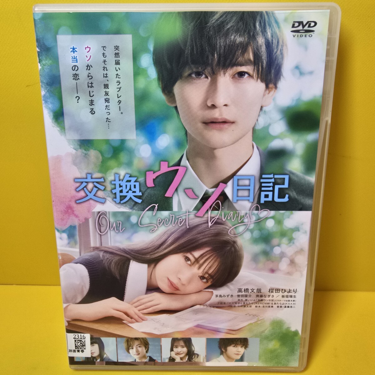 ※新品ケース交換済み　交換ウソ日記 DVD 