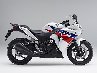 CBR250R　パールヒラヤマズホワイト　ウレタン塗料250gセット