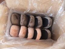 未使用品！ボアスリッパぽこぽこ１０足