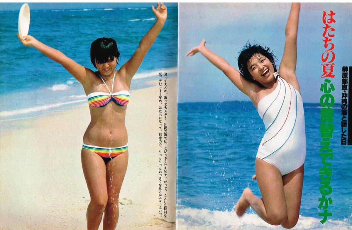S3671 明星 1979年 昭和54年 水着ビキニ 榊原郁恵 桜田淳子 BIBI 山口百恵 三浦友和 石野真子 大場久美子 ピンクレディー岩崎宏美 西城秀樹