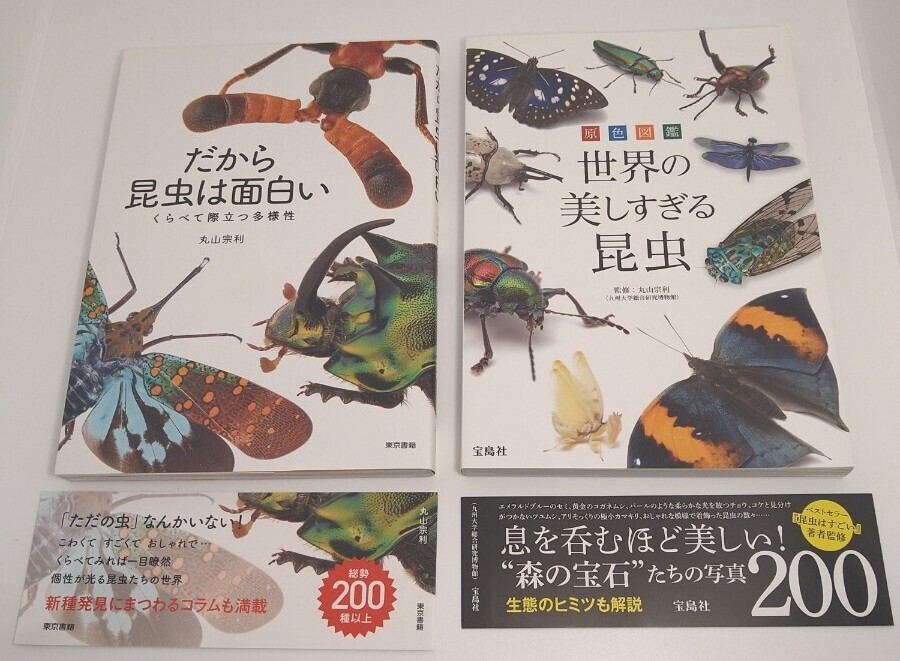 だから昆虫は面白い・くらべて際立つ多様性　　原色図鑑・世界の美しすぎる昆虫　丸山宗利