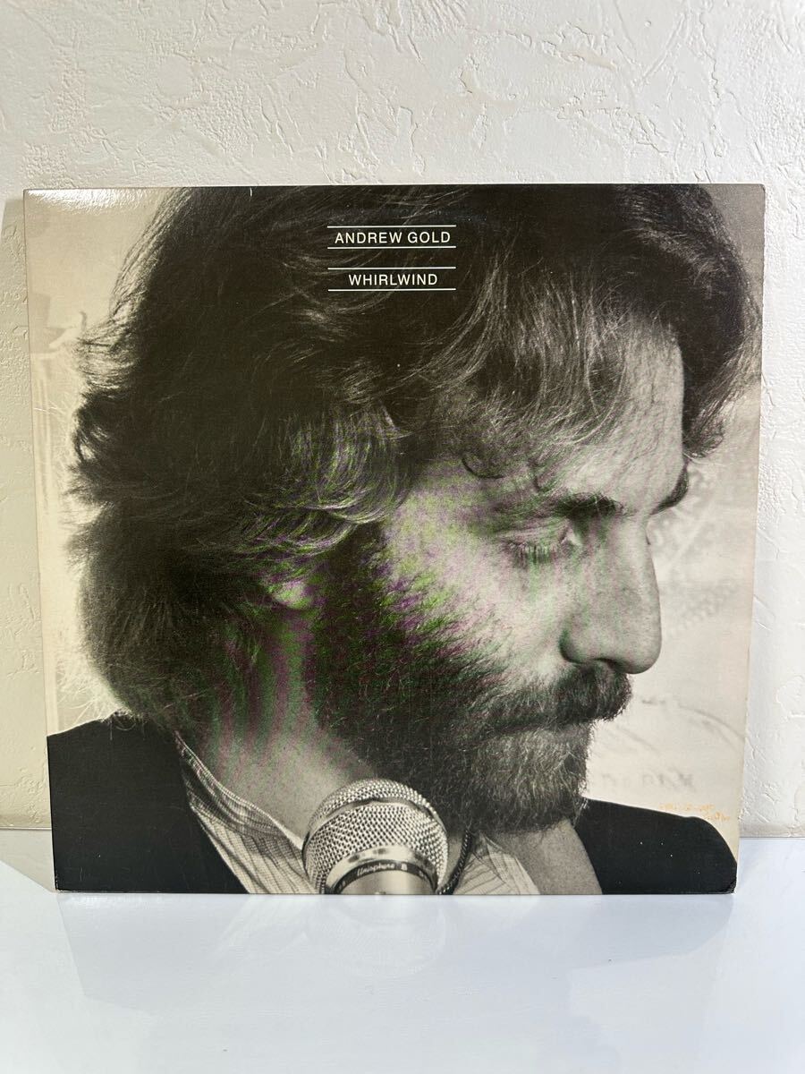 ANDREW GOLD / WHIRLWIND 6E-264 レコード LP盤 再生未確認
