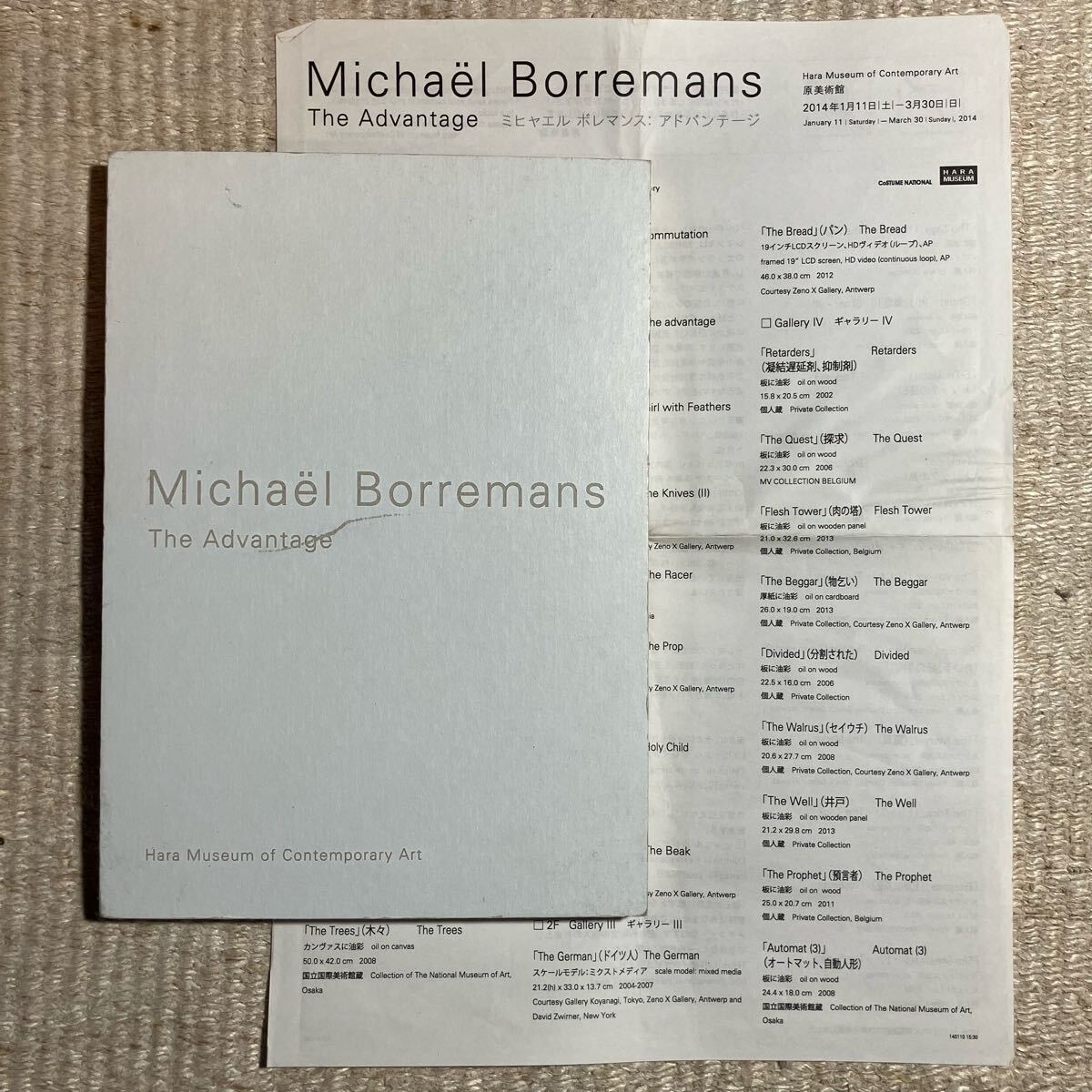 ボレマンス アドバンテージ 2014年 原美術館 図録 / Michael Borremans Advantage 日本語 英語 アート 本