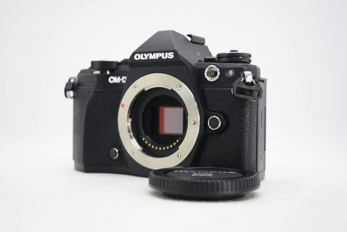 ★実用品★OLYMPUS オリンパス OM-D E-M5 Mark II ボディ #3869