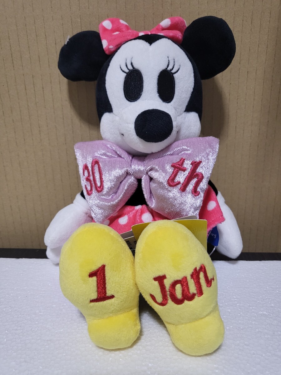 完売品 ヴィレッジヴァンガード アニバーサリー ミニーマウス ぬいぐるみ 1月 ナカジマコーポレーション Disney Anniversary WY-141317 