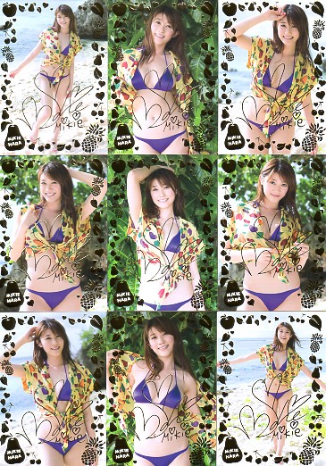 HIT'S ヒッツ! リミテッド 原幹恵３ レギュラー+スペシャルカード 108枚セット トレーディングカード