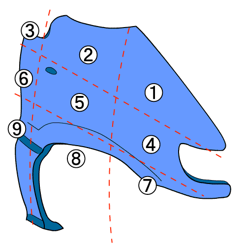 {$data['title']拍卖