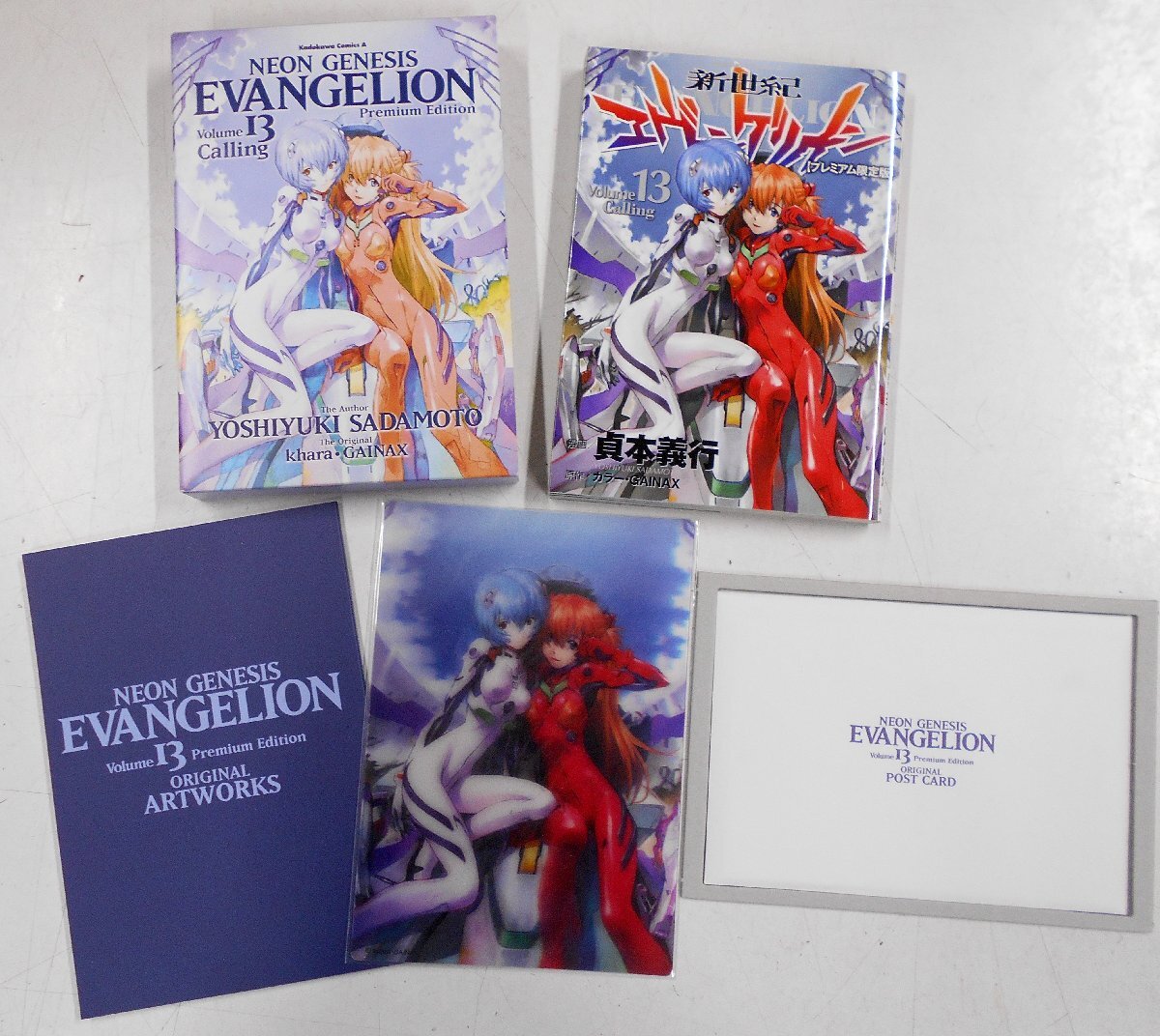 新世紀エヴァンゲリオン 13巻 プレミアム限定版 【チ113】