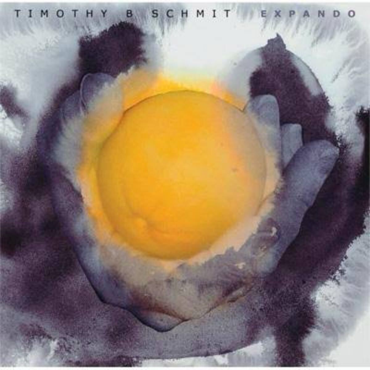 TIMOTHY B SCHMIT ティモシー・B・シュミット/EXPANDO イーグルス