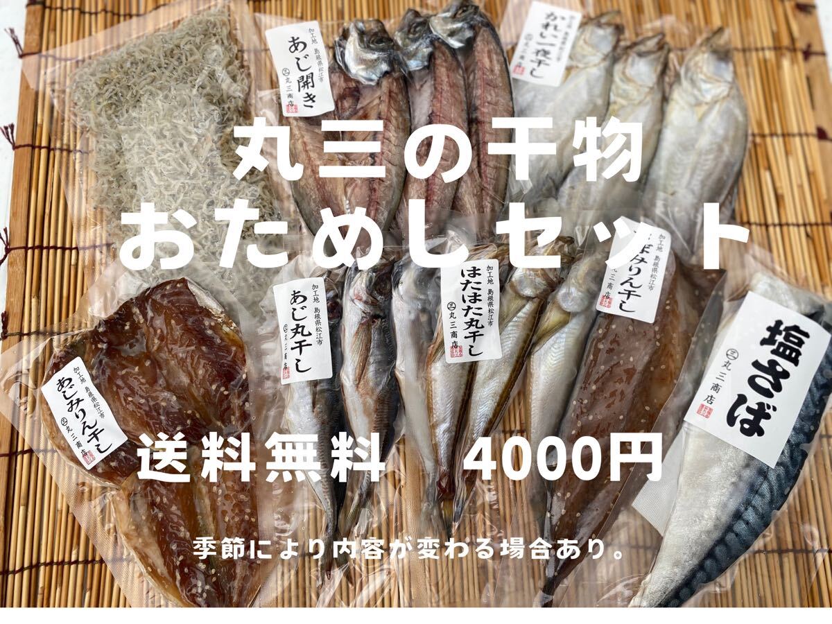 はじめての方に選ばれています丸三商店 お試し干物セット　送料無料4000円