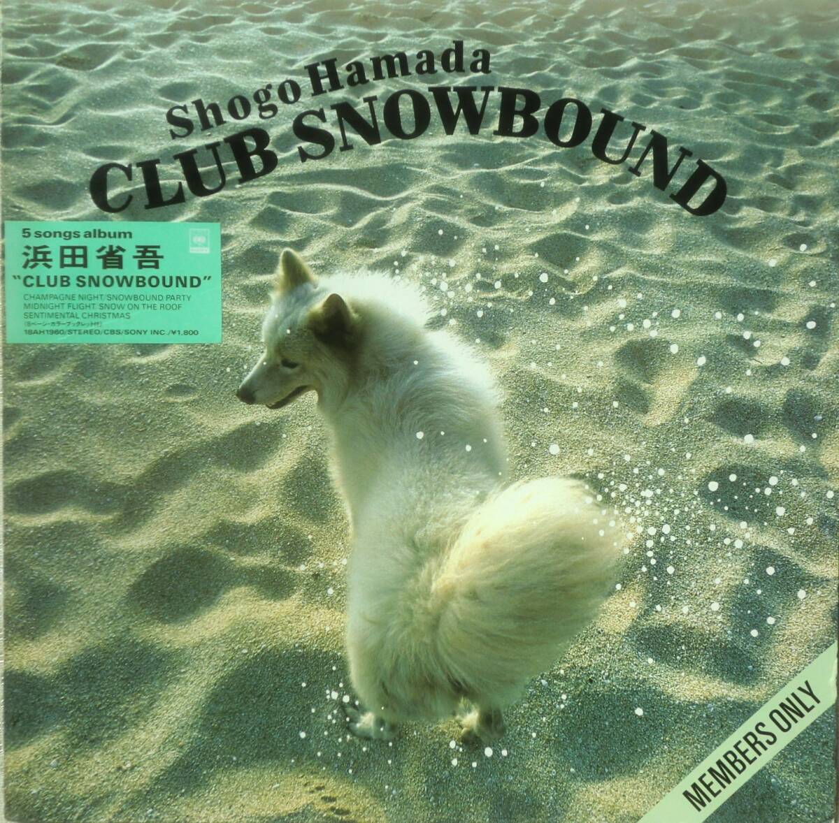 ★ステッカーラベル 国内盤 LP★SHOGO HAMADA/浜田省吾★CLUB SNOWBOUND★85'ROCK名盤★
