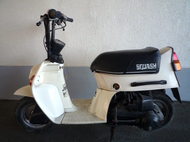 ★ホンダ　スカッシュ★