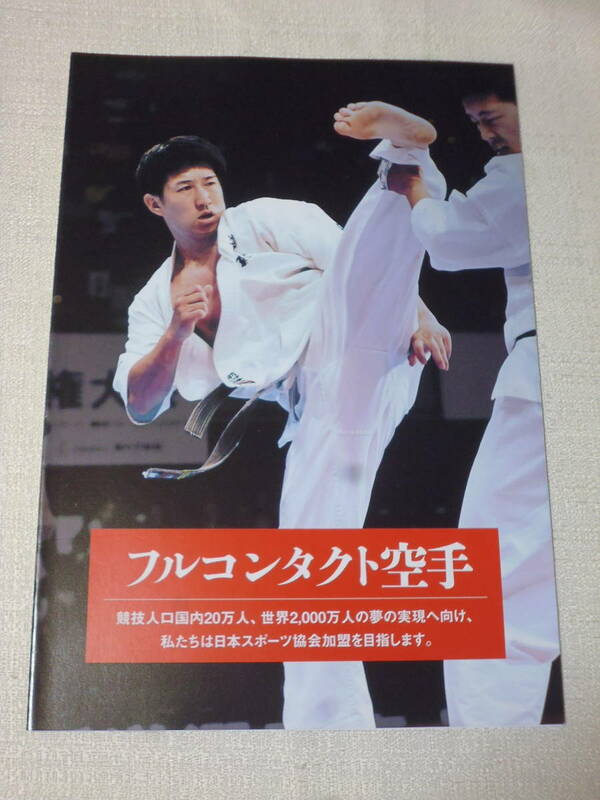 全日本フルコンタクト空手道連盟（JFKO）　案内書