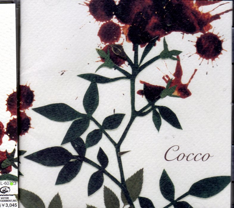 サングローズ COCCO コッコ 4TH ALBUM 星に願いを 焼け野が原