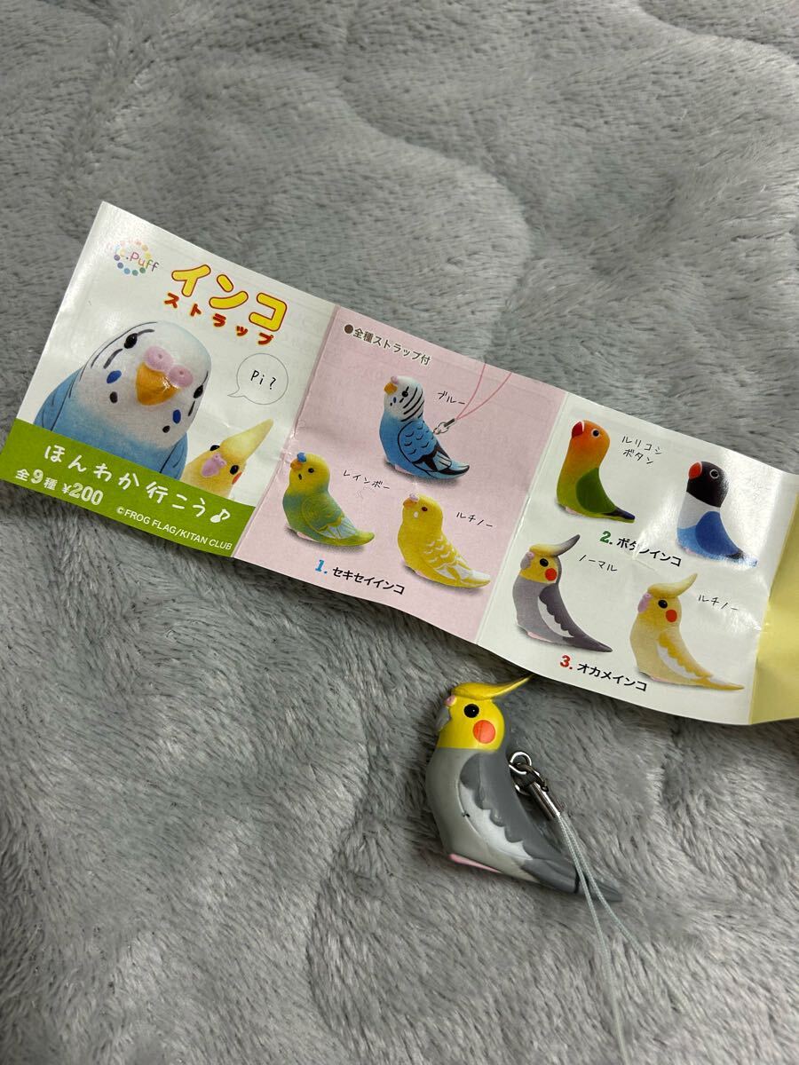 ☆未使用に近い☆インコストラップ ほんわか行こう♪ 3.オカメインコ ノーマル／鳥、フィギュア、人形／キーホルダー／ガチャガチャ景品
