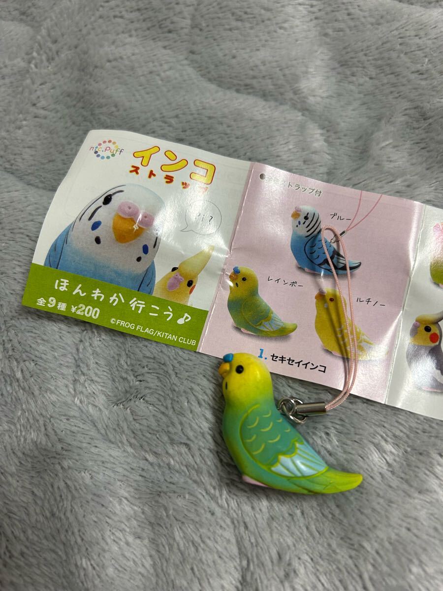 ☆未使用に近い☆インコストラップ ほんわか行こう♪ 1.セキセイインコ レインボー／鳥、フィギュア、人形／キーホルダー／ガチャガチャ