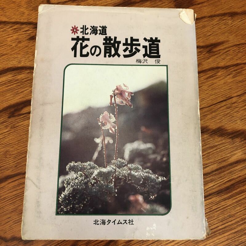 北海道　花の散歩道　梅沢俊　北海タイムス社