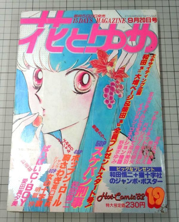 花とゆめ 1982年 No.19 9月20日号 和田慎二/高口里純/美内すずえ/魔夜峰央