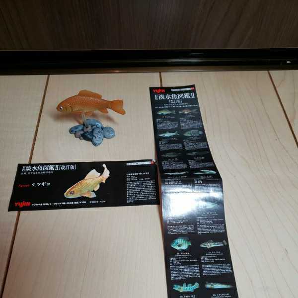 即決　原色淡水魚図鑑　Ⅱ　シークレット　テツギョ　ユージン　YUJIN 改訂版　フィギュア　金魚