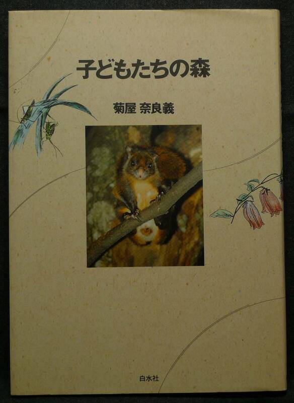 【超希少】【美品】古本　子どもたちの森　著者：菊屋奈良義　（株）白水社