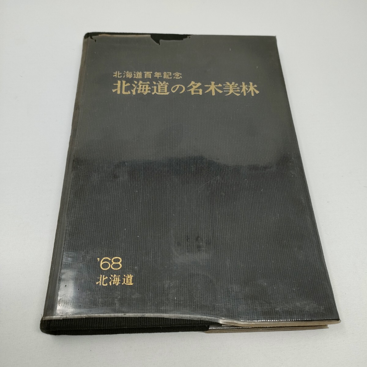 北海道百年記念 北海道の名木美林　正誤表有り即決　送料込み