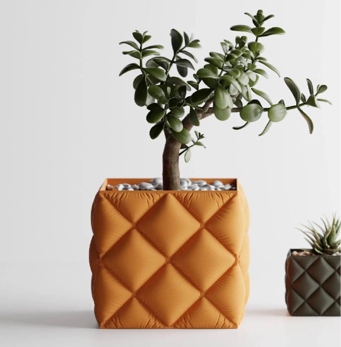 色変更可能 植木鉢 おしゃれ コーデックス 鉢 多肉 観葉 塊根植物 黒 プラ鉢 3d鉢 作家鉢 3dプリンター鉢 アガベ グラキリス 塊根植物