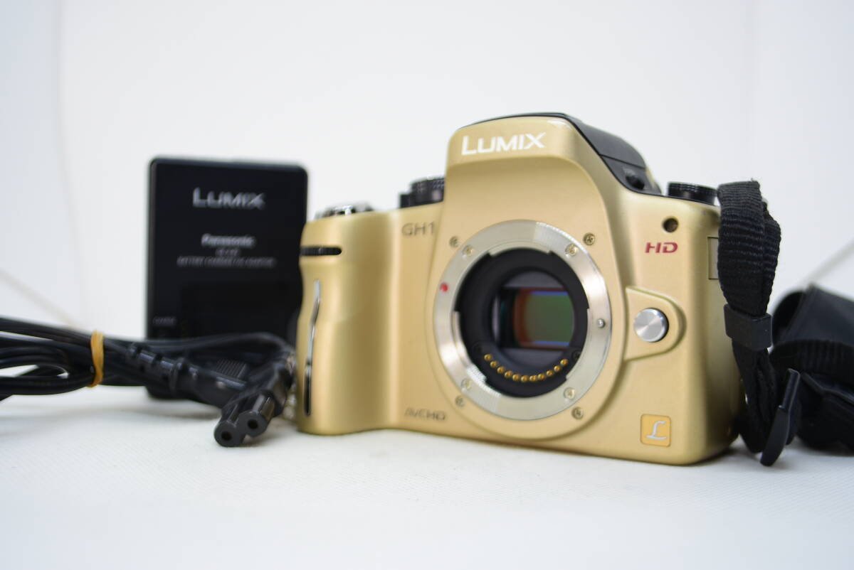 ★実用品★LUMIX ルミックス DMC-GH1　#4112