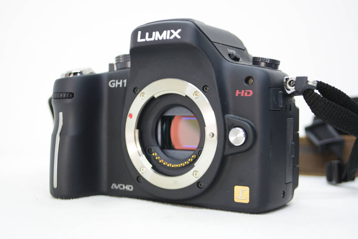 ★並品★LUMIX ルミックス DMC-GH1　#4122