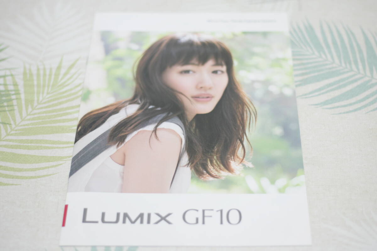 【カメラ・カタログ】パナソニック Panasonic LUMIX DC-GF10