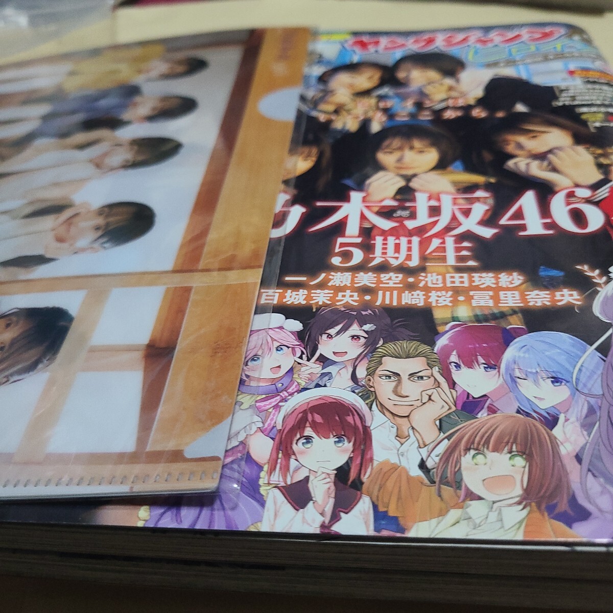 ヤングジャンプ増刊 ヤングジャンプヒロイン（３） ２０２３年１月号 （集英社）