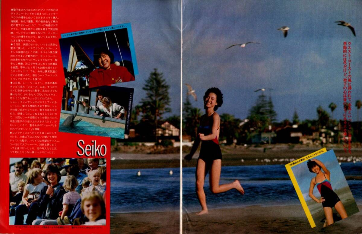 S3764 平凡 1982年 昭和57年 水着ビキニ松田聖子 柏原よしえ三原順子 松本伊代 小泉今日子 パンジー伊藤蘭古手川祐子 松任谷由実中島みゆき