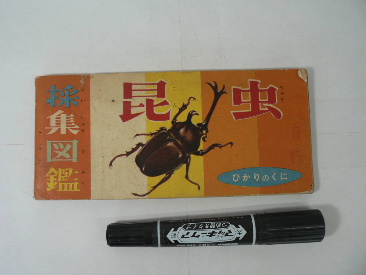 ひかりのくに昭和出版『昆虫採集図鑑』ひかりのくに学校図書編纂委員会 白尾三男・松室重親画 昭和32年 1957年