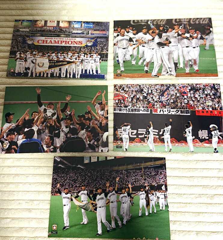 ●北海道日本ハムファイターズ 『ポストカード』 5枚セット 2009年 パ・リーグ優勝 