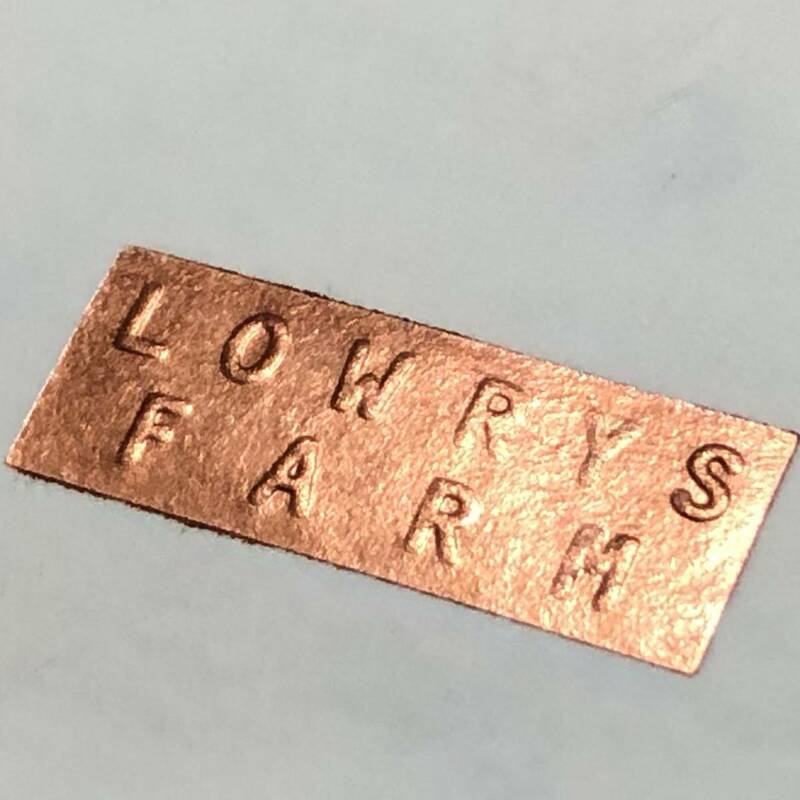 【 未使用 】カワイイ！☆彡★彡 LOWRYS FARM ローリーズファーム 半袖 ブラウス size L ベージュ★ レース パフ袖 チュニック 定価3,800円