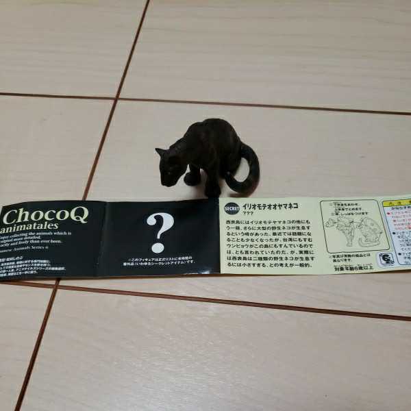 即決　Choco Q 日本動物　アニマテイルズ　６　シークレット　イリオモテヤマネコ　松村しのぶ　TAKARA　フィギュア